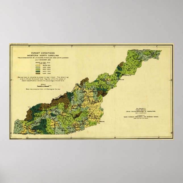 Wälder des Westerns North CarolinaPanoramakarte Poster (Vorne)