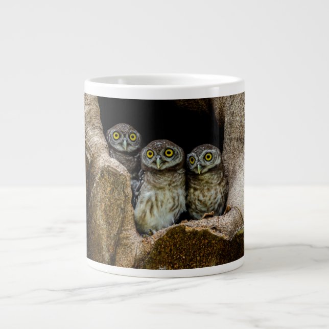 Wälder | Drei Eulen suchen Jumbo-Tasse (Vorderseite)