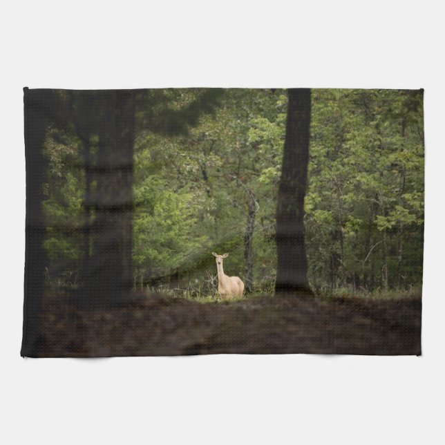Wälder | Ein weißer Schwanz im Wald Geschirrtuch (Horizontal)