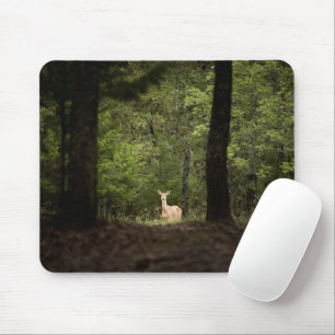 Wälder   Ein weißer Schwanz im Wald Mousepad