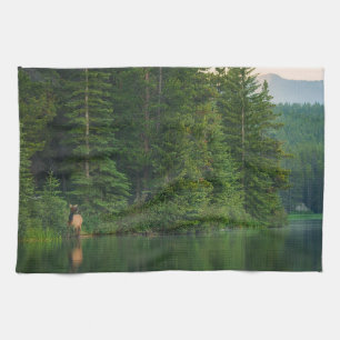 Wälder Elch im Banff-Nationalpark Alberta Geschirrtuch