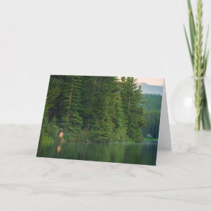 Wälder Elch im Banff-Nationalpark Alberta Karte