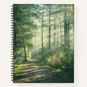 Wälder Forstweg Hamburg Deutschland Notizbuch