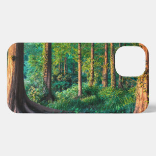 Wälder   Grünland und Wälder iPhone Hülle