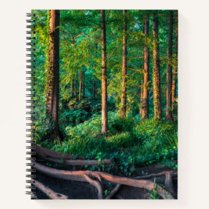 Wälder   Grünland und Wälder Notizbuch
