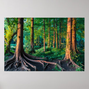 Wälder Grünland und Wälder Poster