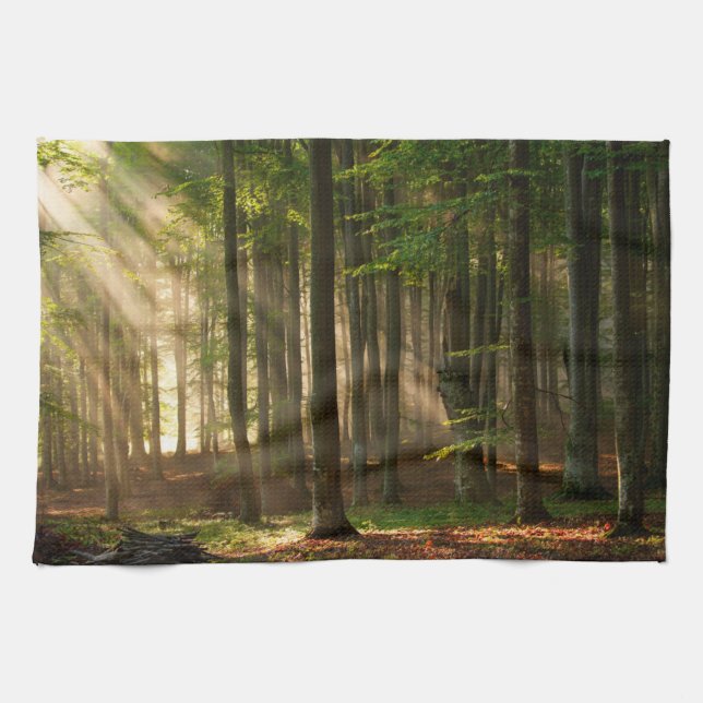 Wälder | Herbstwald Geschirrtuch (Horizontal)
