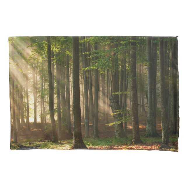 Wälder | Herbstwald Kissenbezug (Vorderseite)