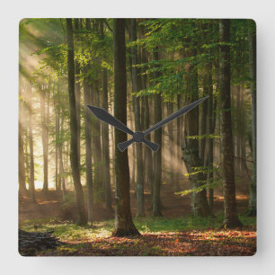 Wälder Herbstwald Quadratische Wanduhr