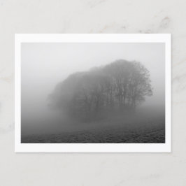 Wälder im Nebel: Cheshire, England Postkarte