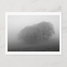 Wälder im Nebel: Cheshire, England