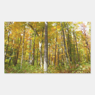 Wälder in Gelben Blätter Herbstlandschaft Rechteckiger Aufkleber