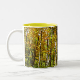 Wälder in Gelben Blätter Herbstlandschaft Zweifarbige Tasse