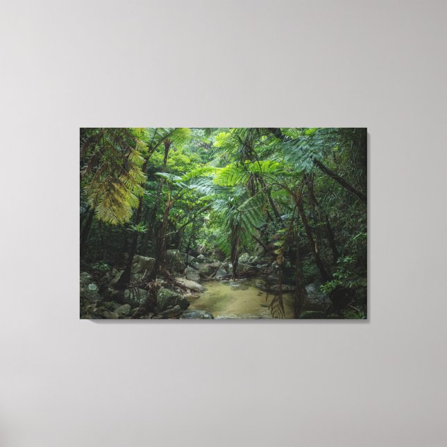 Wälder | Iriomote Ishigaki Nationalpark Leinwanddruck (Vorderseite)
