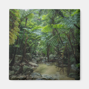 Wälder Iriomote Ishigaki Nationalpark Magnet