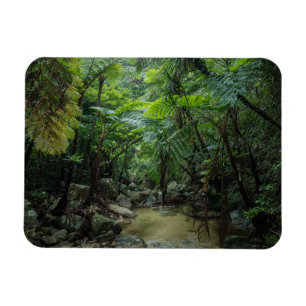 Wälder Iriomote Ishigaki Nationalpark Magnet