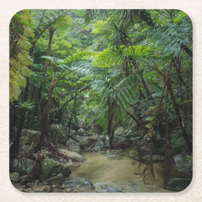 Wälder | Iriomote Ishigaki Nationalpark Rechteckiger Pappuntersetzer (Vorderseite)