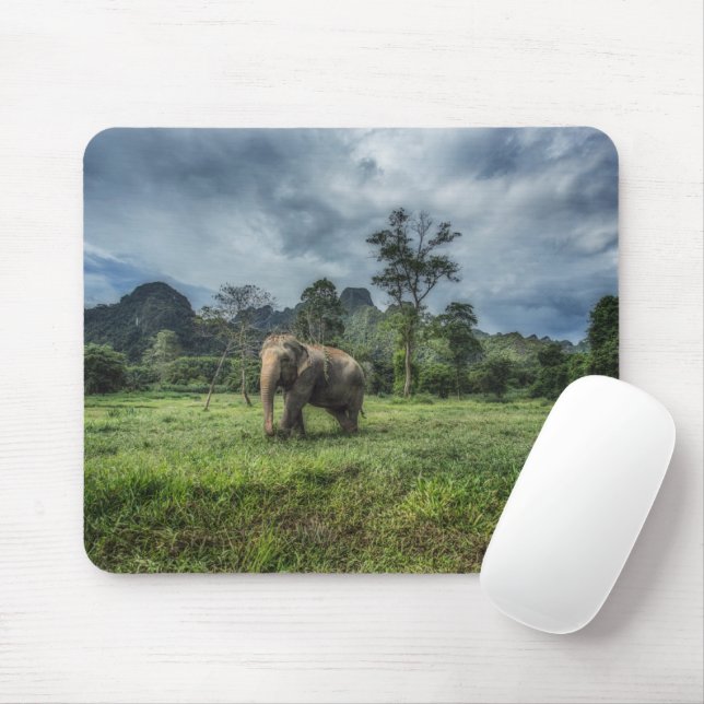 Wälder | Kao Sok Nationalpark Mousepad (Mit Mouse)