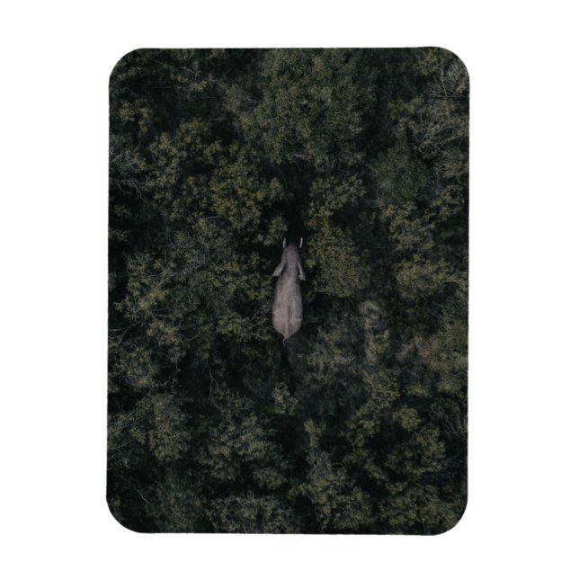 Wälder | Lalibela Game Reserve Magnet (Vertikal)