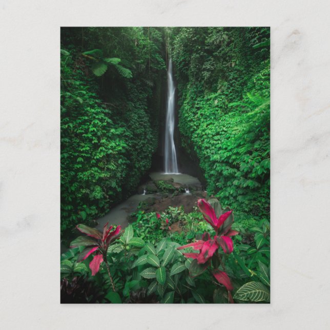 Wälder | Leke Leke Wasserfälle in Bali Postkarte (Vorderseite)