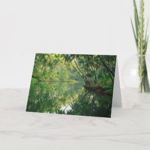 Wälder   Mangrovenwald Karte