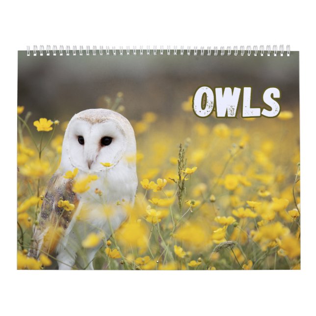 Wälder mit schönen Natur- und Waldszenen Kalender (Titelbild)