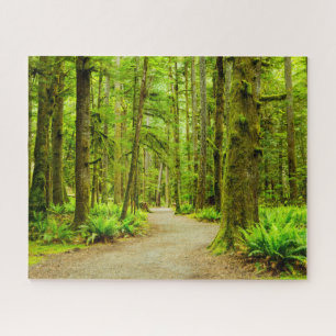 Wälder Olympischer Nationalpark