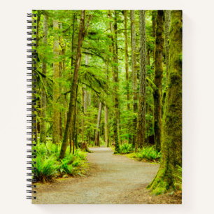 Wälder   Olympischer Nationalpark Notizbuch