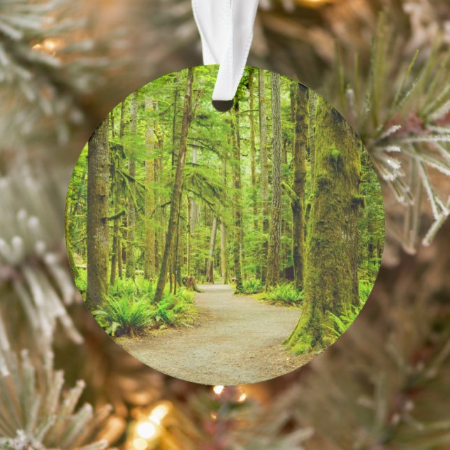Wälder | Olympischer Nationalpark Ornament (Baum)