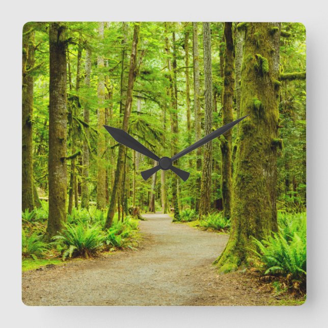 Wälder | Olympischer Nationalpark Quadratische Wanduhr (Vorderseite)