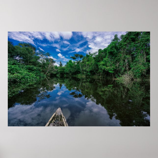Wälder | Peruanischer Dschungelwald Poster (Vorne)
