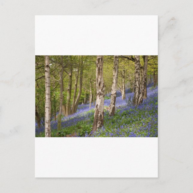 Wälder Postkarte (Vorderseite)