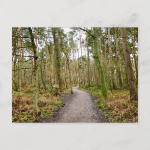 Wälder postkarte