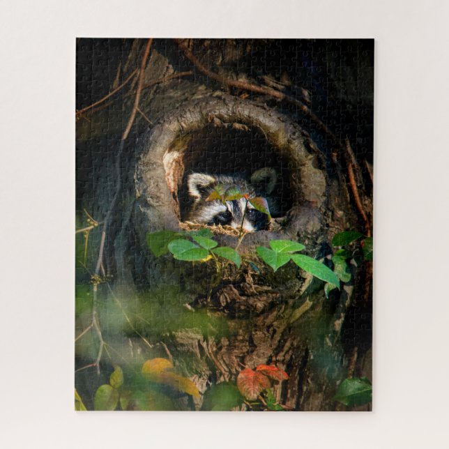 Wälder | Raccoon Peeking (Vertikal)