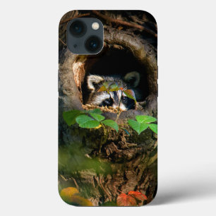 Wälder   Raccoon Peeking Case-Mate iPhone Hülle