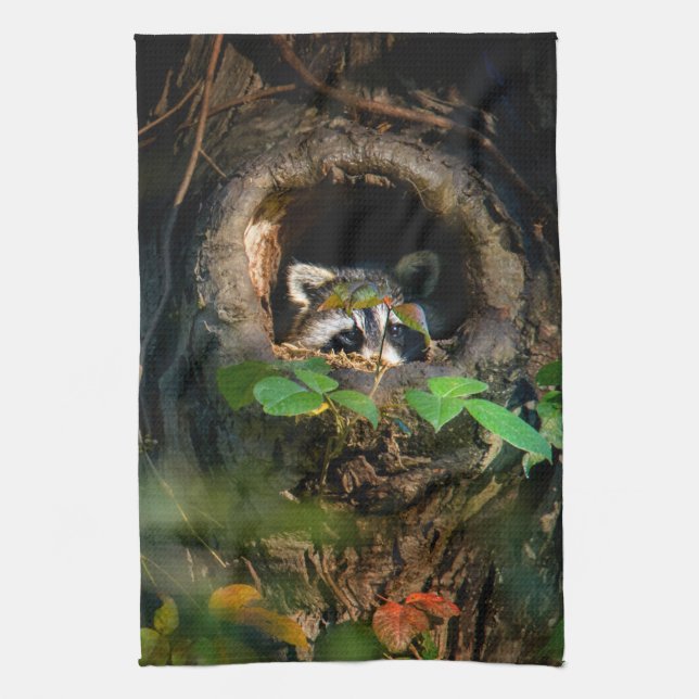 Wälder | Raccoon Peeking Geschirrtuch (Vertikal)