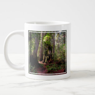 Wälder   Redwood Forest California Jumbo-Tasse