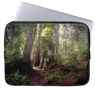 Wälder Redwood Forest California Laptopschutzhülle