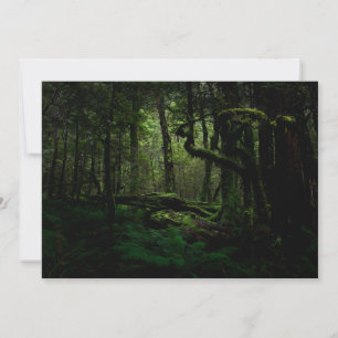 Wälder Routeburn Track Fiordland Nationalpark Dankeskarte