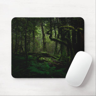 Wälder Routeburn Track Fiordland Nationalpark Mousepad