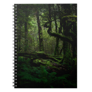Wälder Routeburn Track Fiordland Nationalpark Notizblock
