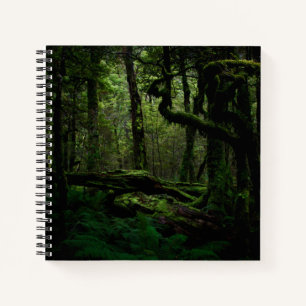 Wälder   Routeburn Track Fiordland Nationalpark Notizbuch