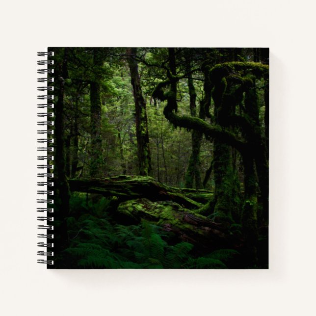 Wälder | Routeburn Track Fiordland Nationalpark Notizbuch (Vorderseite)