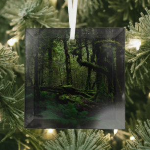 Wälder   Routeburn Track Fiordland Nationalpark Ornament Aus Glas