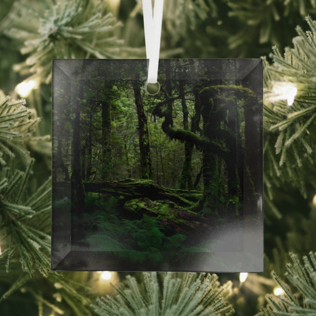 Wälder | Routeburn Track Fiordland Nationalpark Ornament Aus Glas (Insitu)