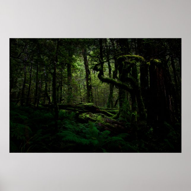Wälder | Routeburn Track Fiordland Nationalpark Poster (Vorne)