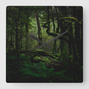Wälder Routeburn Track Fiordland Nationalpark Quadratische Wanduhr