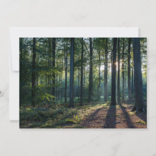 Wälder   Schwarzwald Deutschland Dankeskarte