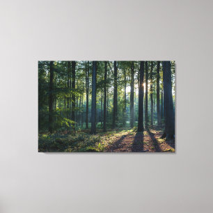 Wälder   Schwarzwald Deutschland Leinwanddruck
