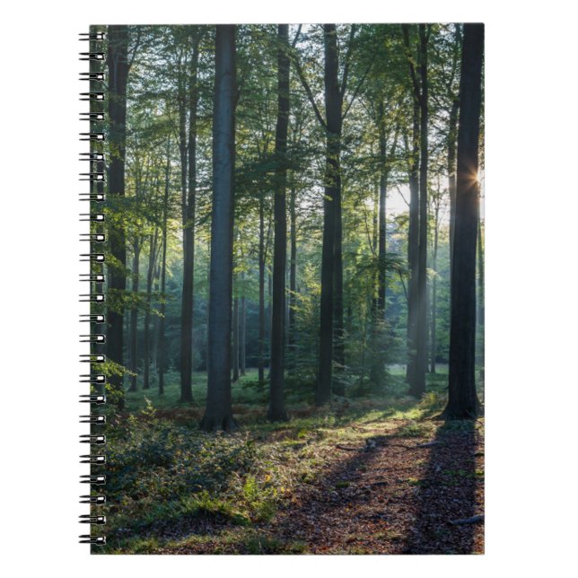 Wälder | Schwarzwald Deutschland Notizblock (Vorderseite)